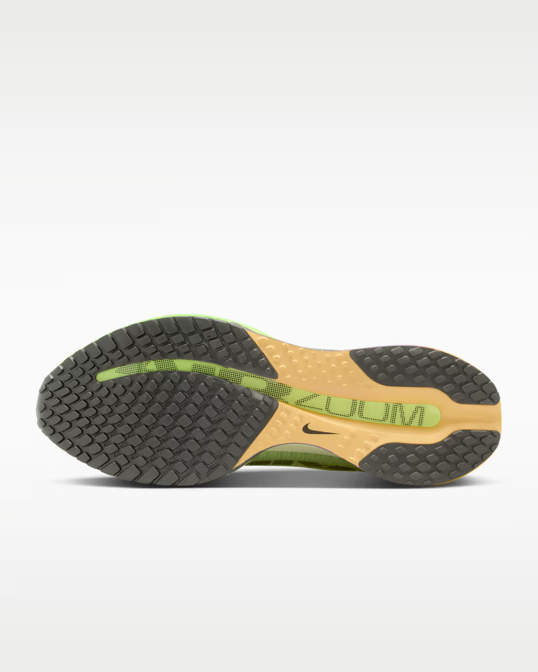 Nike Pegasus Premium