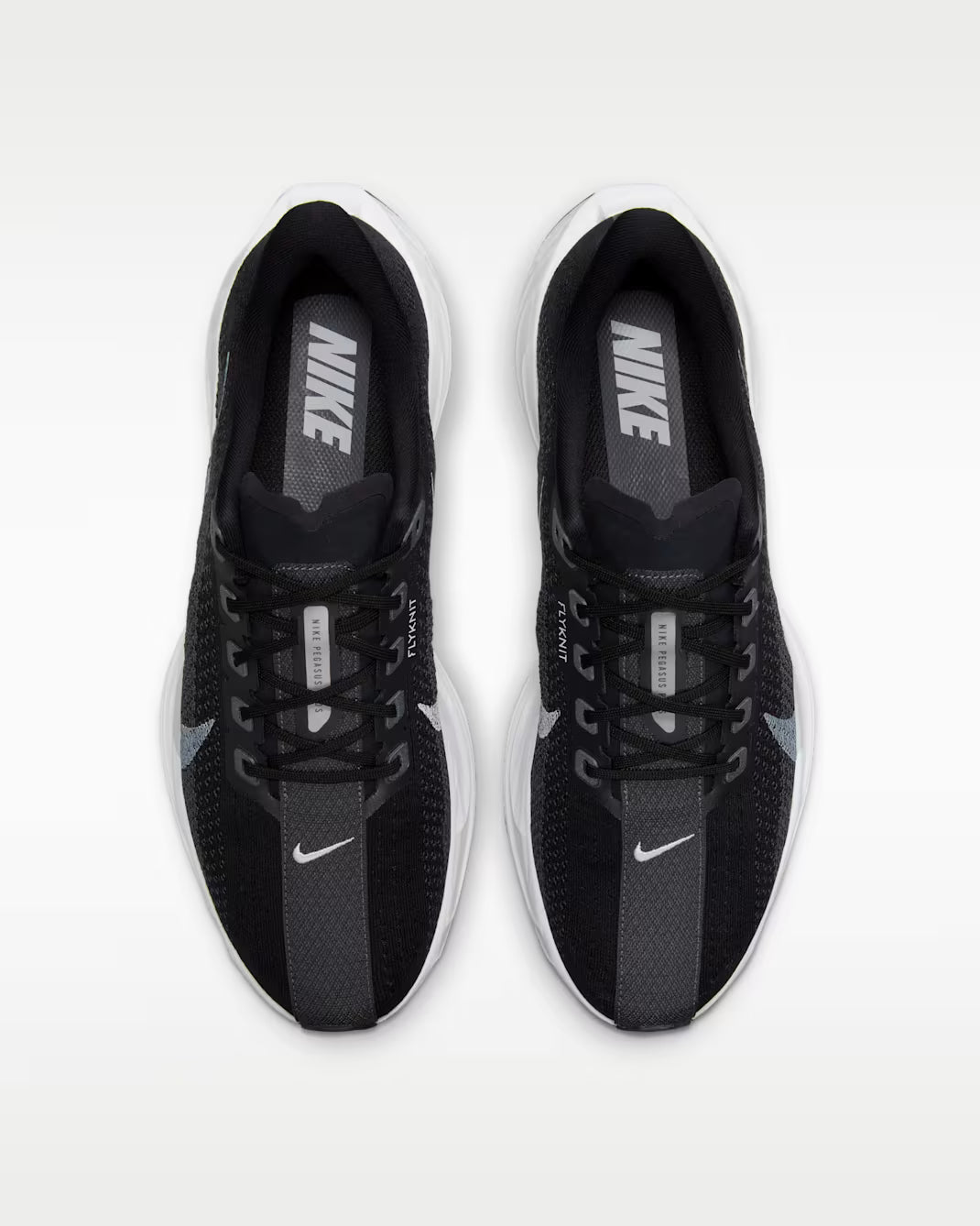 Nike Pegasus Plus