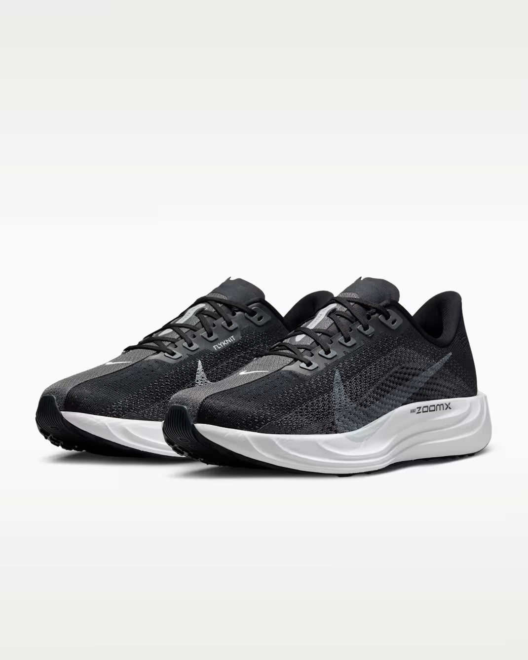 Nike Pegasus Plus